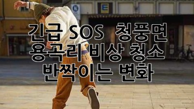 긴급 SOS! 🚨 청풍면 용곡리 비상 청소, ✨ 반짝이는 변화!